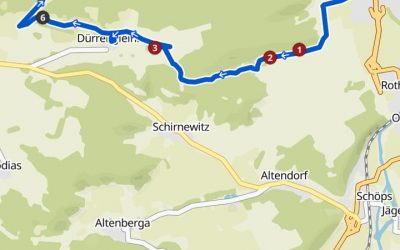 Orchideen-Wanderung im Leutratal