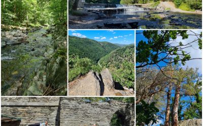 Tropenwanderung im Thüringer Wald