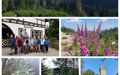 Wandergruppe in der Sommerfrische