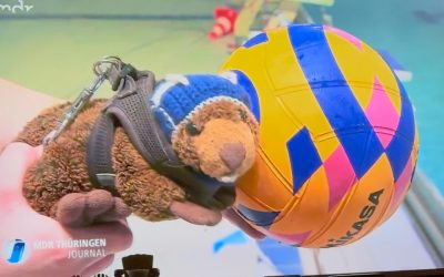 Toni stellt sich vor