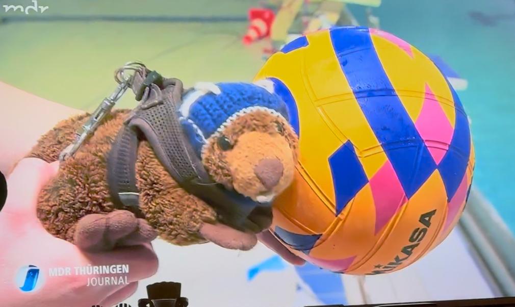 Toni stellt sich vor